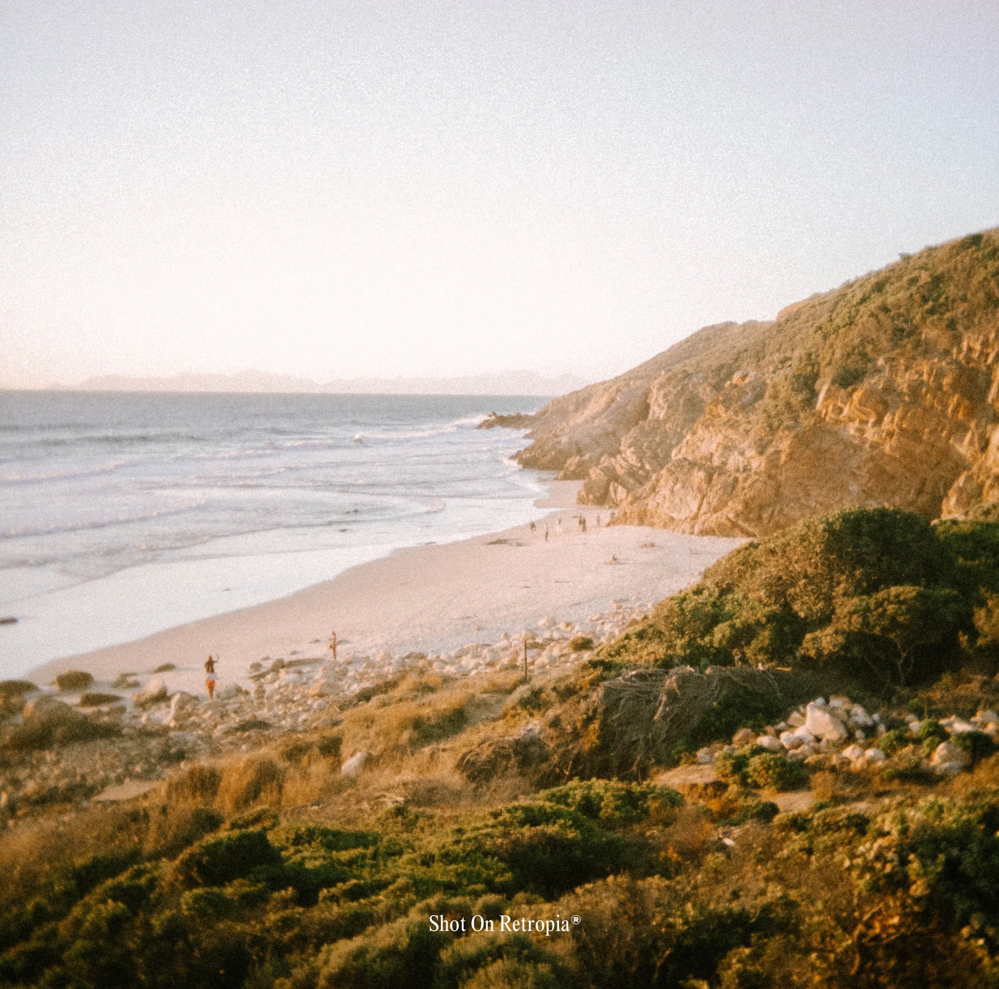 ® Repurposed Disposable Film Camera Lens