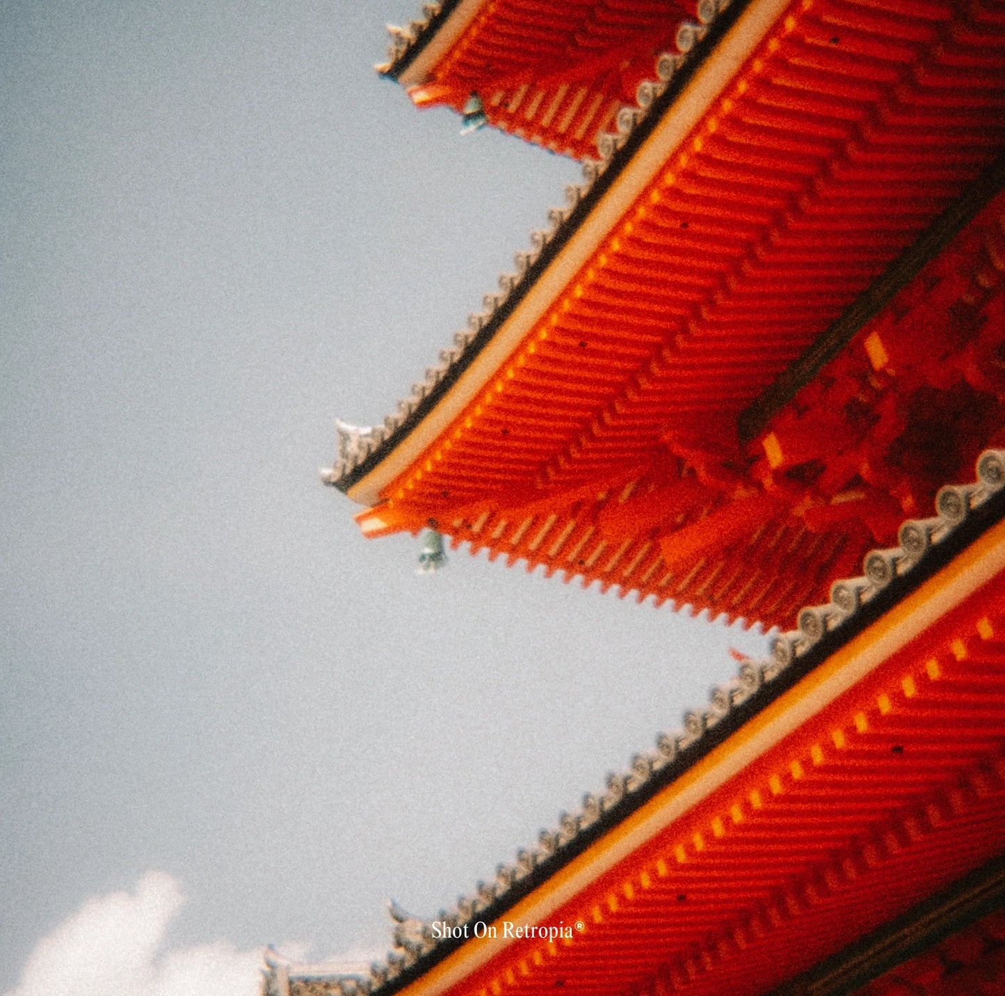 ® Repurposed Disposable Film Camera Lens